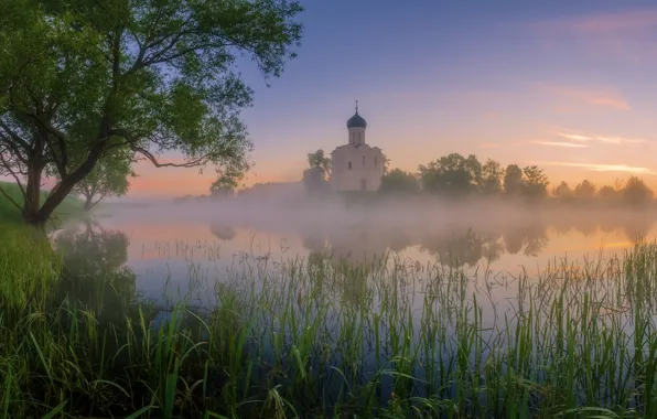 Summer, the sky, grass, trees, landscape, nature, fog, lake