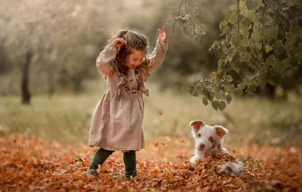 Picture autumn, leaves, joy, girl, puppy