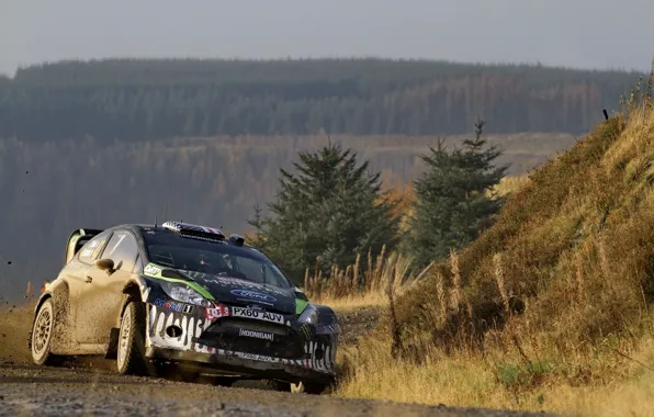 Ford, Forest, Sport, Car, Car, WRC, Rally, Fiesta