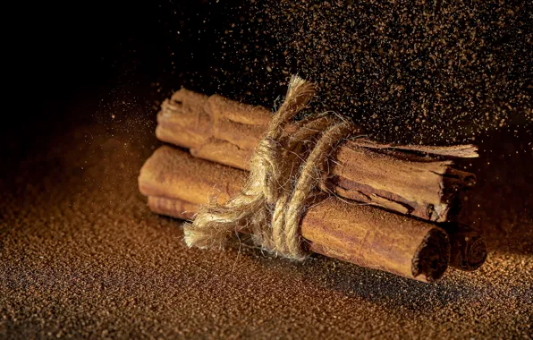 Macro, the dark background, table, dust, sticks, rope, cinnamon, spices