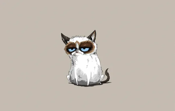 Face, grey background, Tomcat, blue-eyed, evil eye