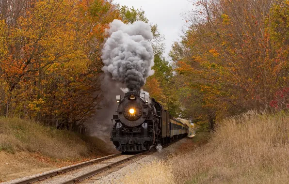 Autumn, forest, train