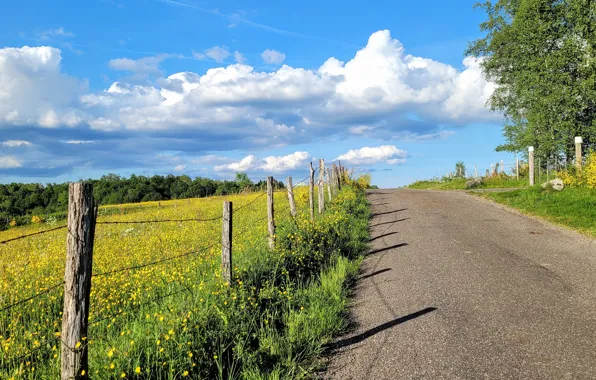 Road, field, forest, summer, the sky, grass, clouds, light