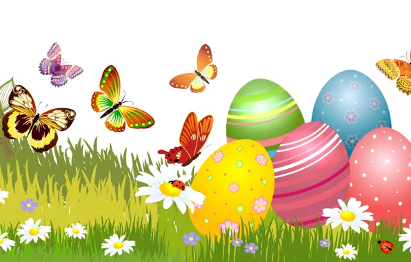 Grass, Chamomile, Butterfly, Easter, Eggs, Holiday, Vector Graphics
