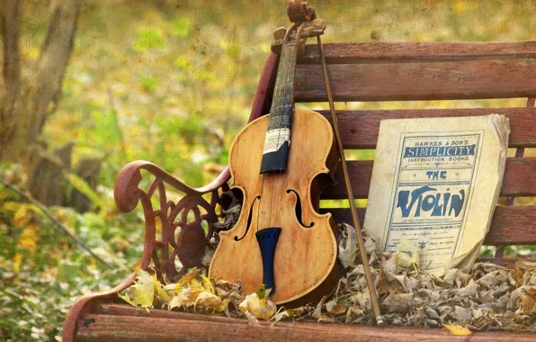 Picture music, violin, texture, bench