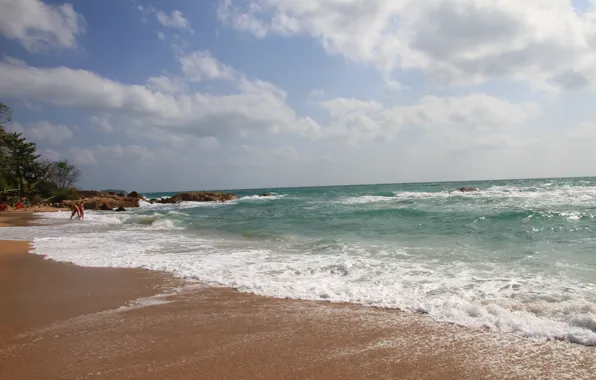Picture sea, wave, nature