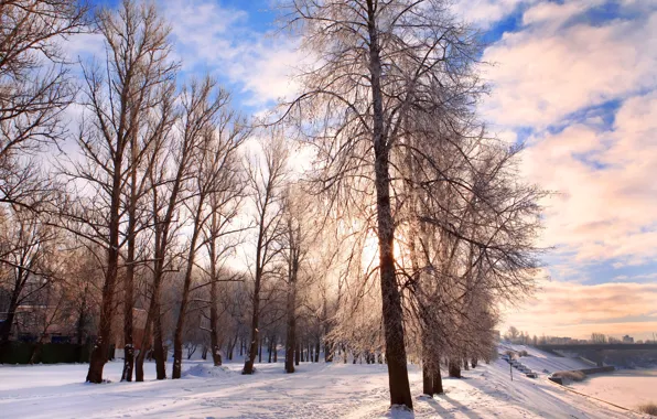 Cold, frost, road, the sky, clouds, snow, trees, landscape