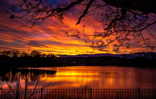 Picture colorful, dark, sky, trees, nature, sunset, lake, landscapes