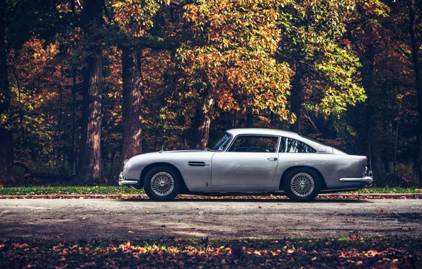 Picture road, forest, Aston Martin, 1965, DB5