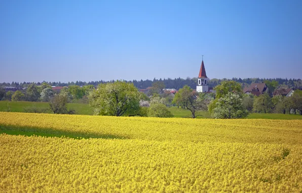 Field, the sky, trees, village, horizon, Church