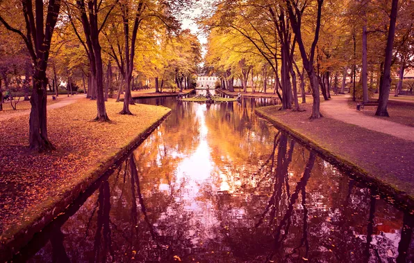 Road, water, trees, landscape, nature, reflection, foliage, building