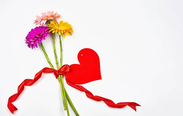 Flowers, heart, bouquet, white background, red, gerbera, colorful, Valentine's day