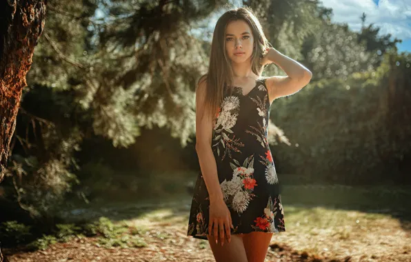 Picture forest, look, nature, dress, long hair, Karolina, Oliver Gibbs, Ollie Gibbs