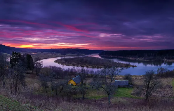 Picture trees, river, the evening, morning, houses, Lithuania