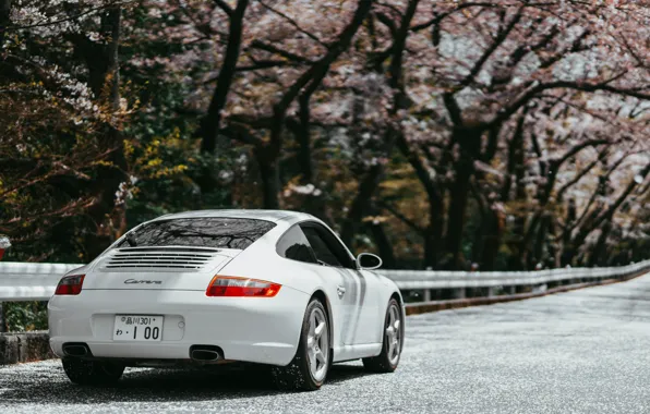 Picture 911, Porsche, Japan, Carrera