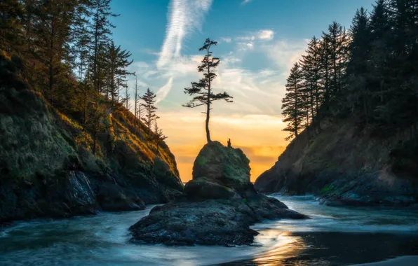Trees, landscape, mountains, nature, river, rocks, Washington, USA