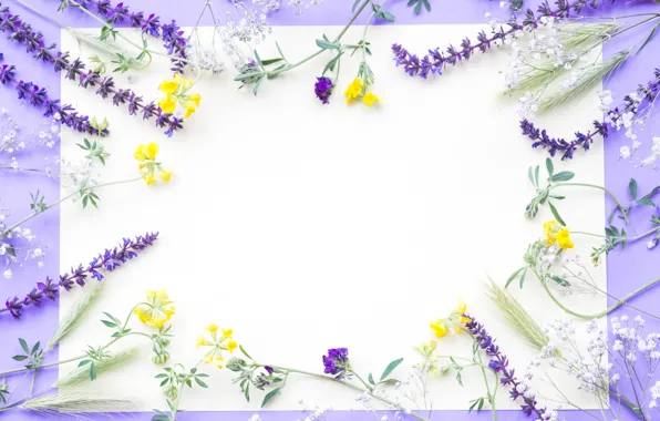 Picture flowers, field, yellow, flowers, purple, frame