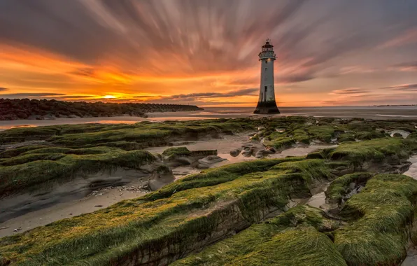 Sea, sunset, shore, lighthouse
