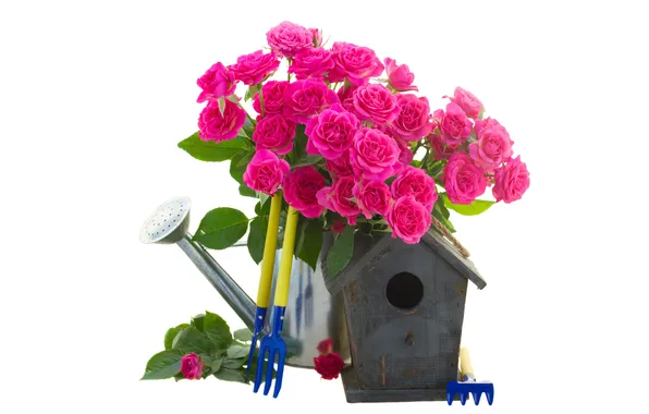 Flowers, birdhouse, lake, pink roses, rake
