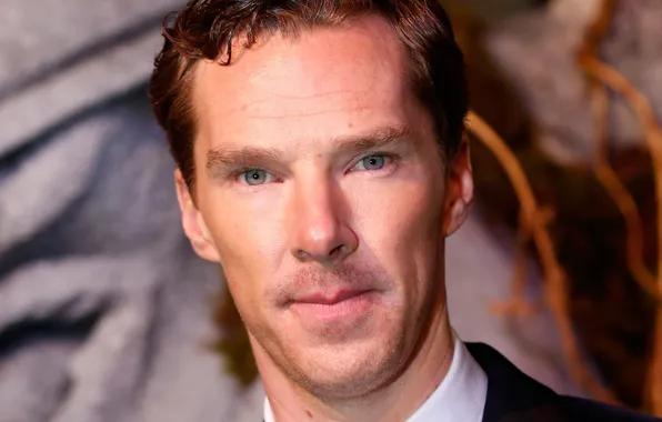 Look, portrait, Benedict Cumberbatch, Benedict Cumberbatch, British actor