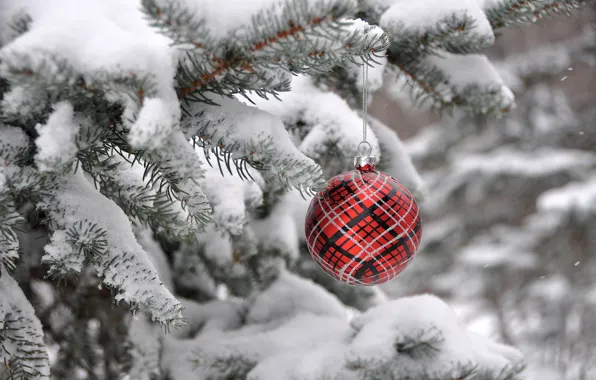 Winter, tree, new year, Christmas, spruce, ball, decoration
