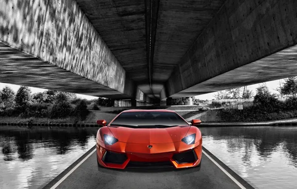 Picture Lamborghini, Orange, Lamborghini, Orange, Front, Supercar, LP700-4, Aventador