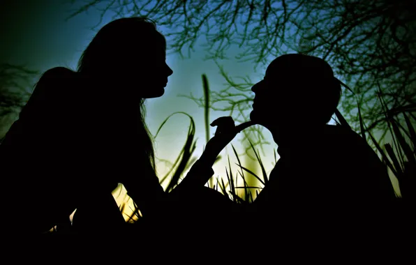 GIRL, FOREST, GRASS, The SKY, GUY, SHADOWS, SILHOUETTES