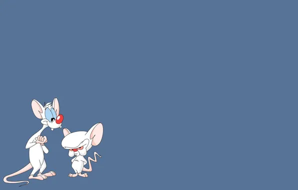 Picture rats, cartoon, Pinky and brain