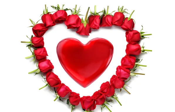 Picture heart, red, rose, heart, romantic, Valentine's Day, red roses