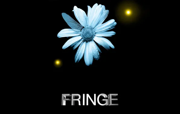 Fringe [11] wallpaper - TV Show wallpapers - #7816