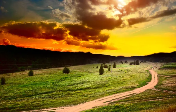 Road, field, forest, the sky, grass, the sun, clouds, trees