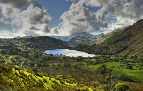 Picture the sky, trees, mountains, lake, field, England, valley, Nant Gwynant