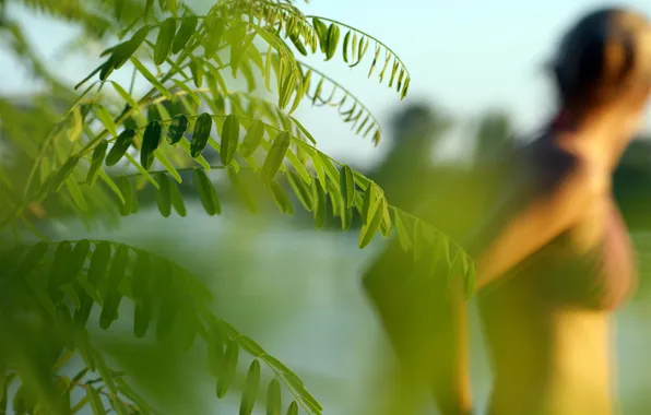 Picture NATURE, GREENS, RIVER, COMPANY, BATHING