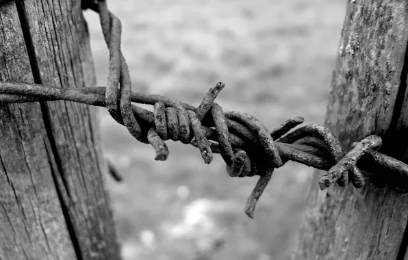 Macro, style, photo, background, Wallpaper, chain, chain