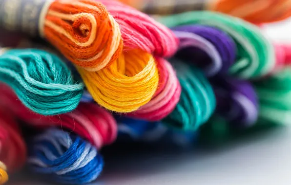 Macro, color, thread