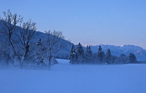 Winter, landscape, nature