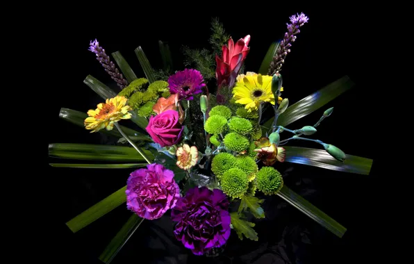 Light, bouquet, Roses, black background, Roses, background, Gerbera, Chrysanthemum