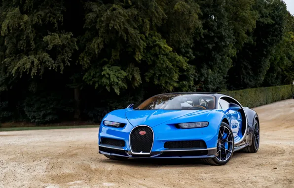 Bugatti, Blue, 2016, Chiron