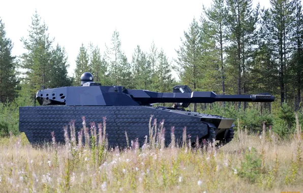 Picture forest, the concept, tank, Sweden, CV90-120