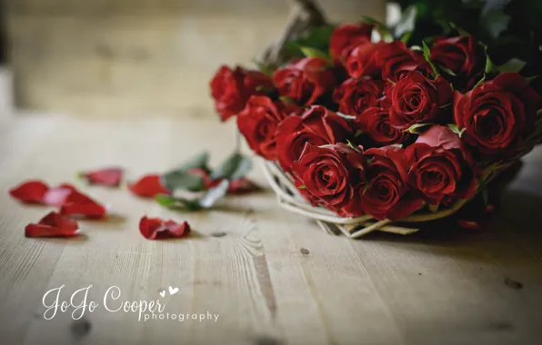 Picture flowers, Board, roses, petals, basket