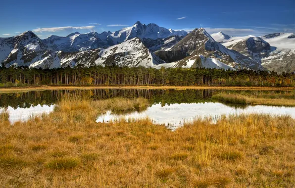 Forest, the sky, grass, water, snow, trees, mountains, lake