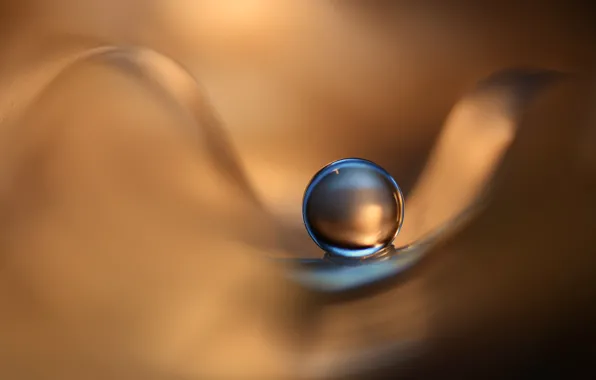 Picture drops, macro, background