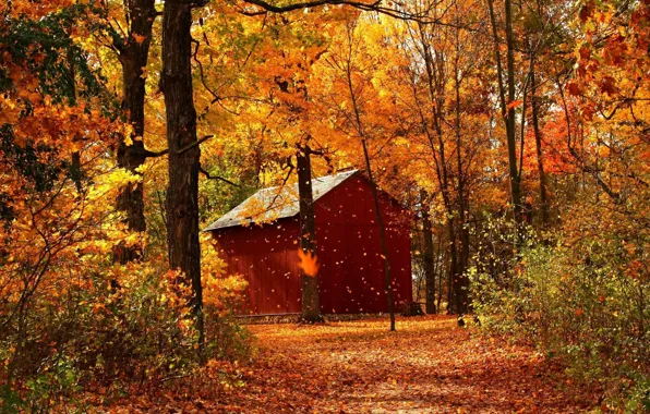 Picture Nature, Path, Autumn, Trees, Forest, Leaves, House, Park