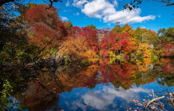 Autumn, trees, lake, reflection
