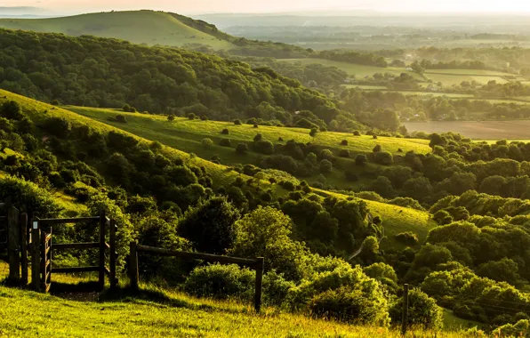 Trees, landscape, nature, hills, the fence, field, England, the evening