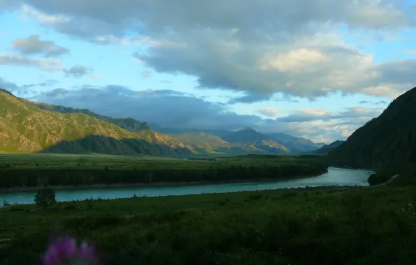 Mountains, nature, river, Altay, Katun