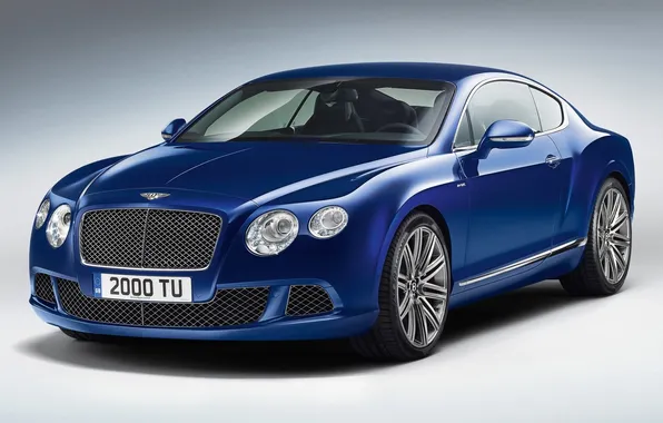 Picture blue, background, Bentley, continental, bentley, the front, speed, continental