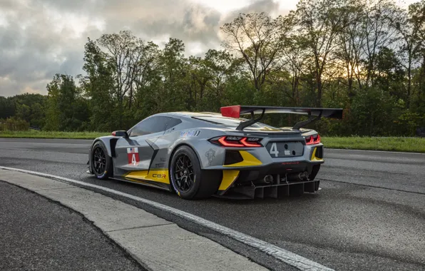 Corvette, Chevrolet, Race car, Sports car, Wing, 2020, Racing car, C8.R