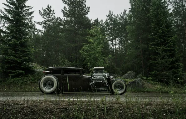 Road, Chevrolet, Forest, Wet, Hot Rod, Chevy, Rat Rod, Side