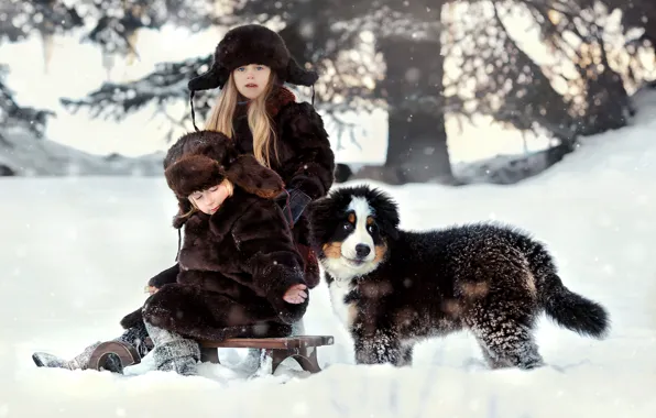 Winter, snow, nature, children, animal, dog, boy, girl
